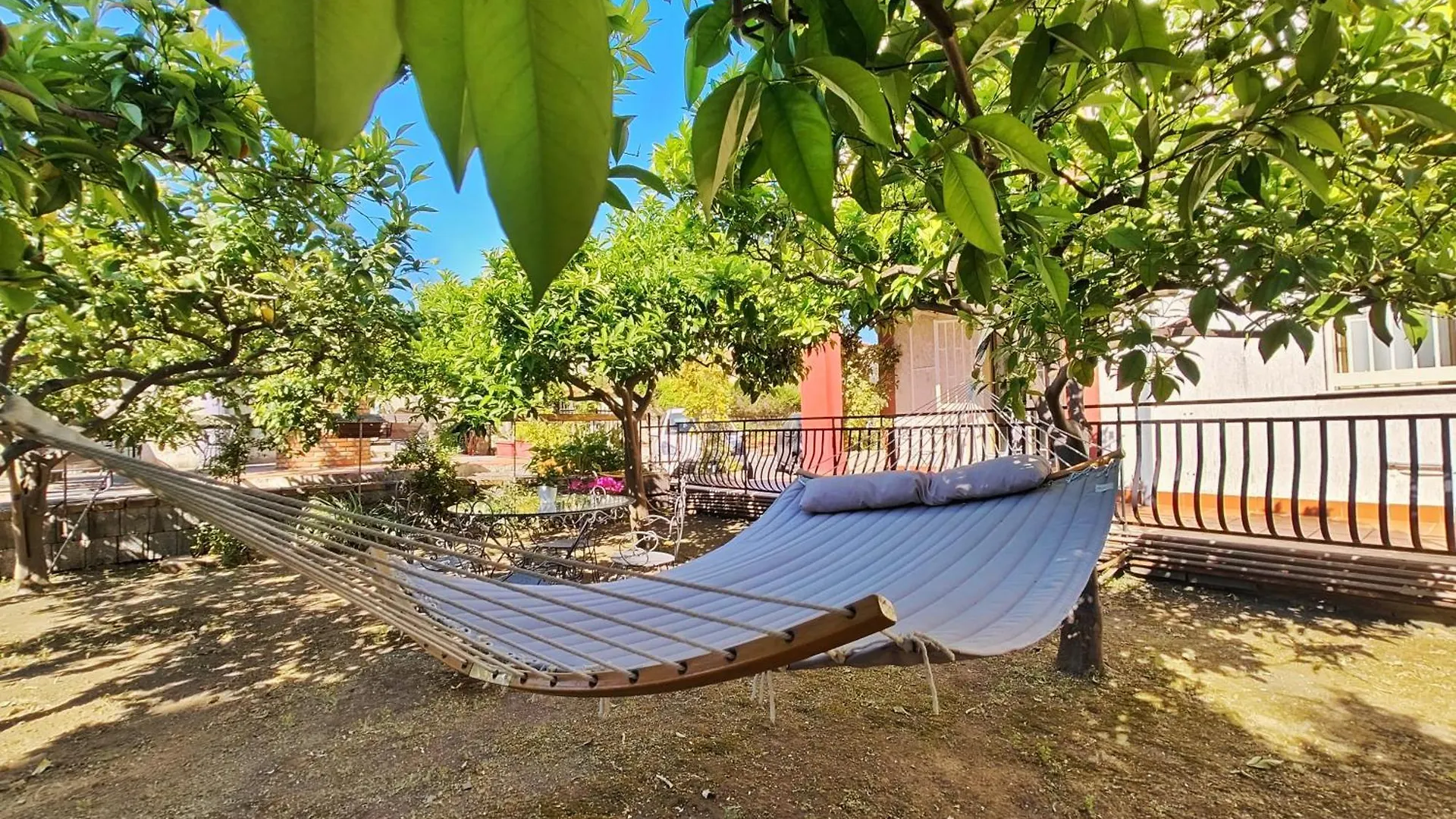 Lemon Tree Home Aci Castello